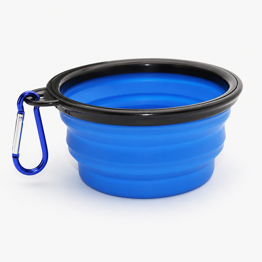 Portable Pet Water Bottle & Foldable Bowl